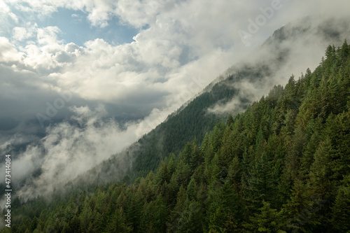 Clouds through the mountain forrest