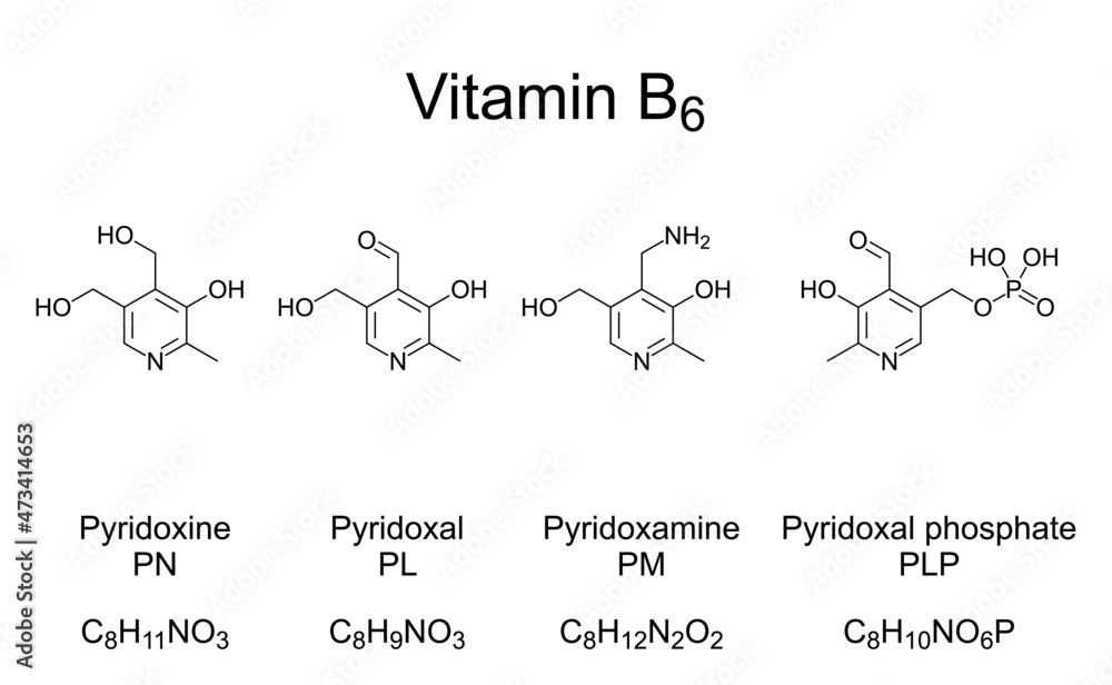 Vitamin B6, chemical formulas and structures. The four most important vitamers of vitamin B6