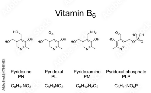 Vitamin B6, chemical formulas and structures. The four most important vitamers of vitamin B6. Pyridoxine, Pyridoxal and Pyridoxamine, and the active form pyridoxal phosphate, serving as a coenzyme.