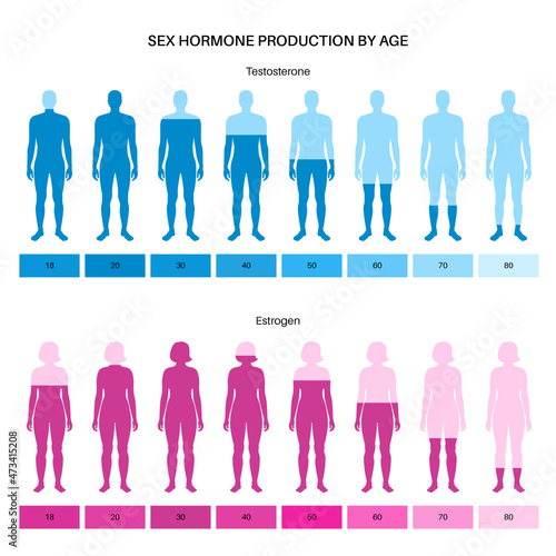 Testosterone estrogen level
