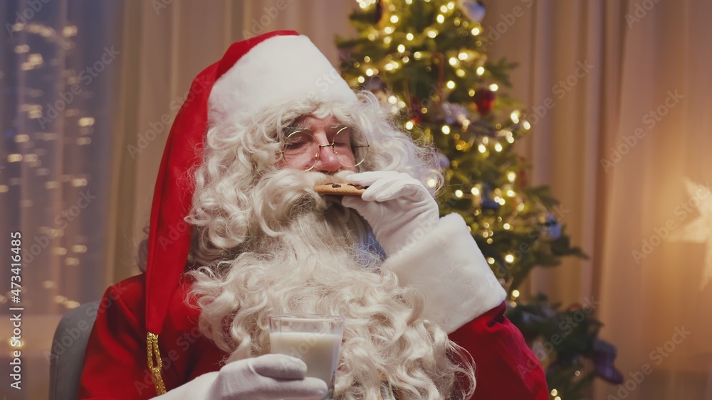 Cheerful Santa Claus sitting in front of Christmas tree drinking milk and eating cookie. Christmas spirit, holidays and celebrations concept.