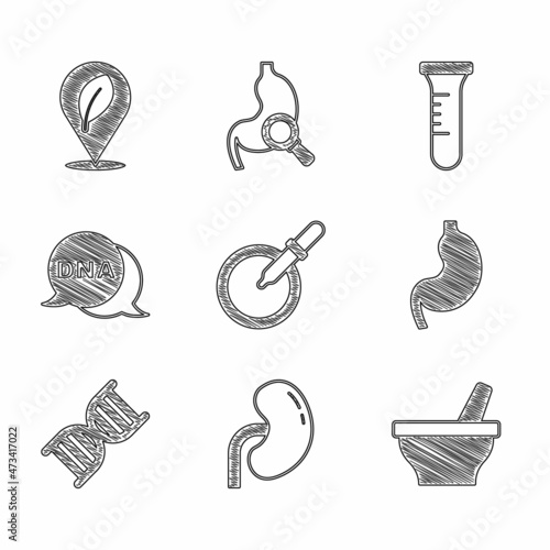 Set Petri dish with pipette, Human kidney, Mortar and pestle, stomach, DNA symbol, Test tube flask and Location leaf icon. Vector