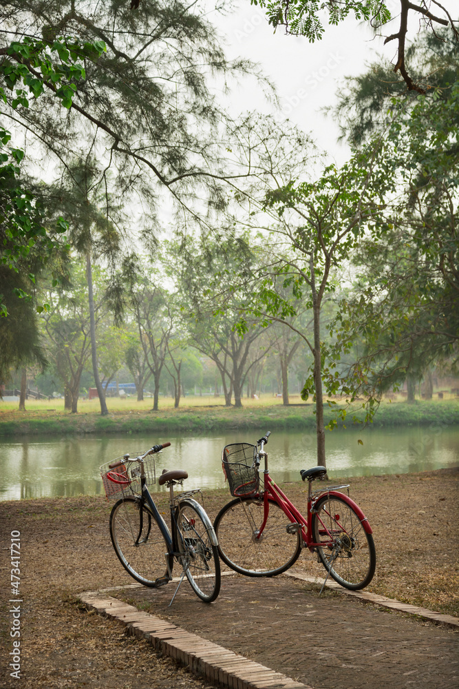 Beautiful landscape, lake, park and bicycles on shore. Thailand