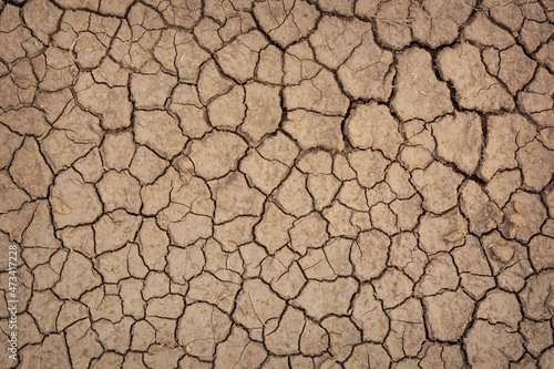 Dry mud cracked ground texture