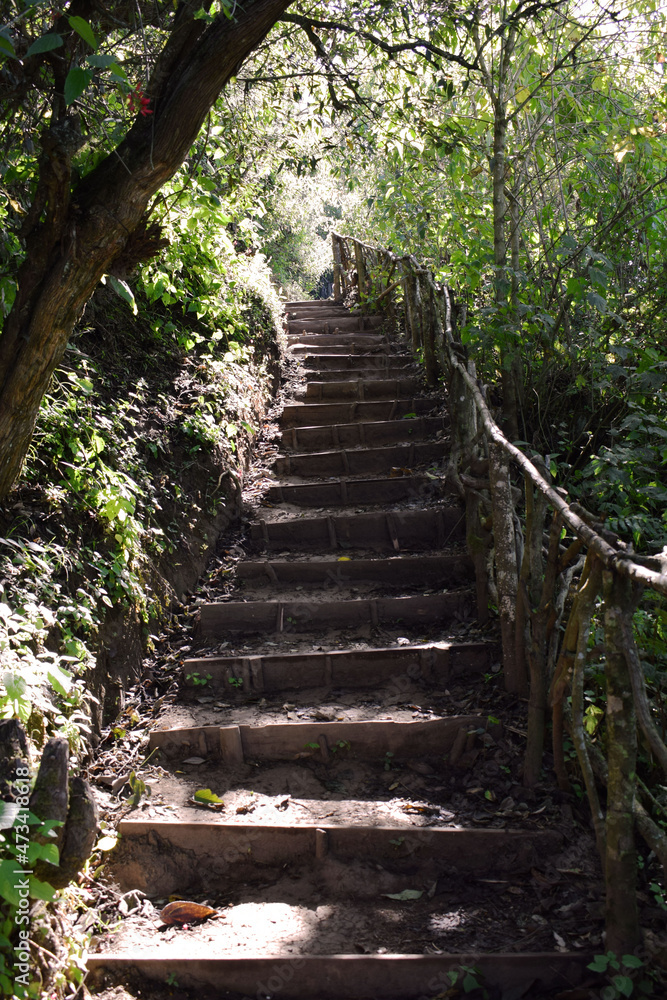 Escaleras de tierra y madera en un ambiente natural al aire libre, rodeado de naturaleza verde. Guatemala.