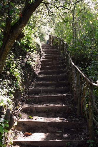 Escaleras de tierra y madera en un ambiente natural al aire libre  rodeado de naturaleza verde. Guatemala.