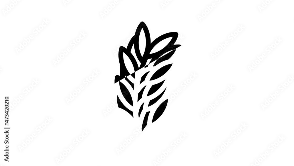 rosemary leaves animated line icon rosemary leaves sign. isolated on white background rosemary leaves animated line icon rosemary leaves sign. isolated on white background