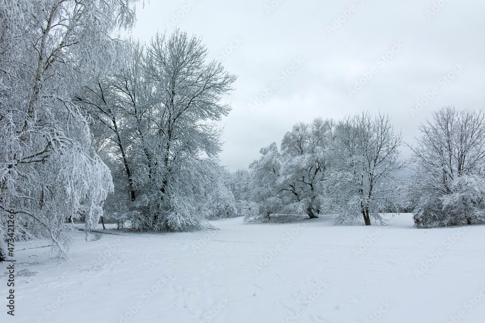 Winter landscape of South Park in city of Sofia, Bulgaria Winter landscape of South Park in city of Sofia, Bulgaria