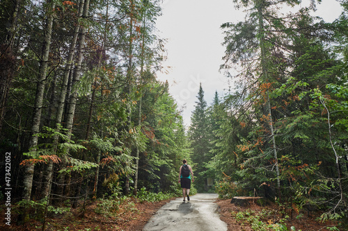 Female Hiker on path in Mauricie National park photo
