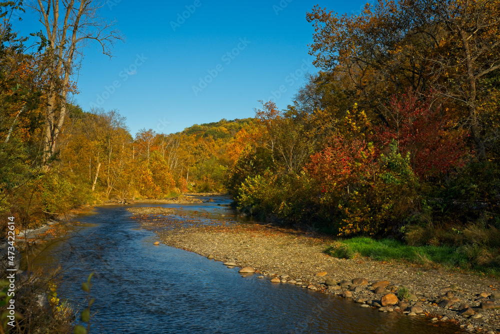 Lazy creek amid autumn colors in Ohio