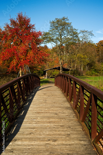 Footbridge over a stream toward a picnic shelter in autumn