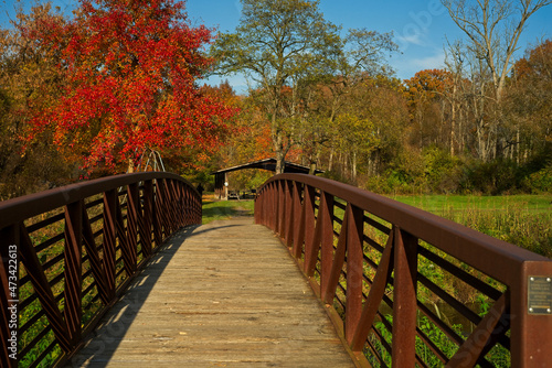 Footbridge toward an autumn picnic site