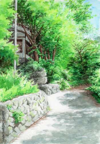 アナログ水彩夏の山道の風景