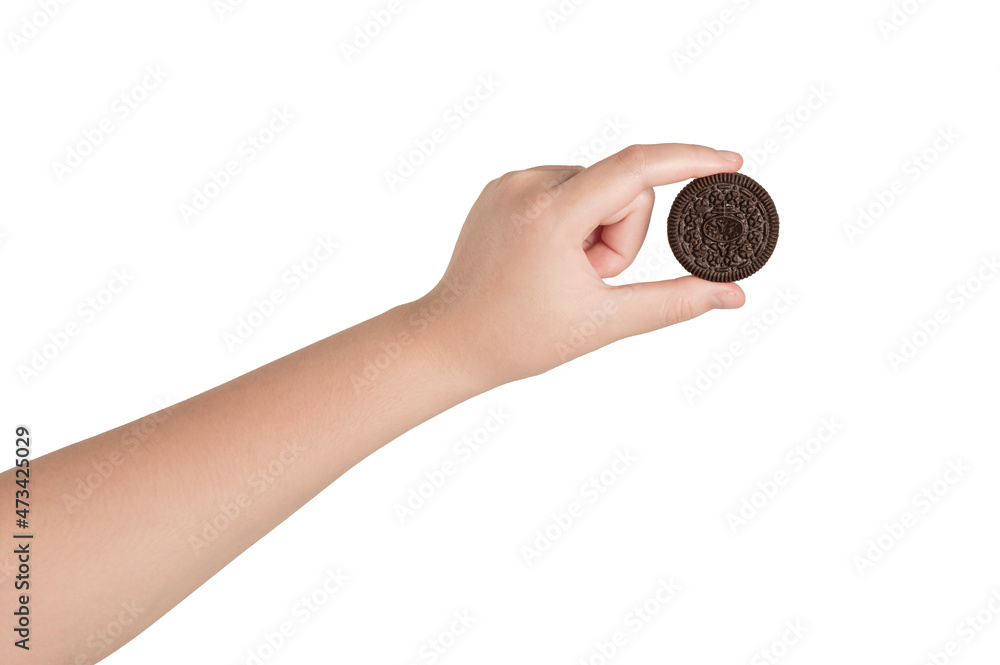 Woman hand holding chocolate cookies isolated on white background
Woman hand holding chocolate cookies isolated on white background