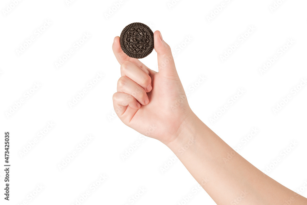 Woman hand holding chocolate cookie isolated on white background. Woman hand holding chocolate cookie isolated on white background.