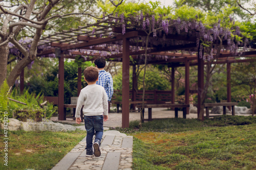 Two brothers walking on a path towards a pergola with purple hysteria. photo