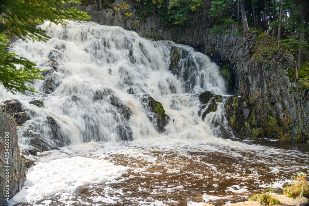 A raging river of white rapids and waterfalls with tall evergreen trees on both sides. The stream is enclosed by large boulders or rock formations with dead leaves and moss covering greenery. A raging river of white rapids and waterfalls with tall evergreen trees on both sides. The stream is enclosed by large boulders or rock formations with dead leaves and moss covering greenery.