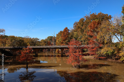 Bridge over river in the fall