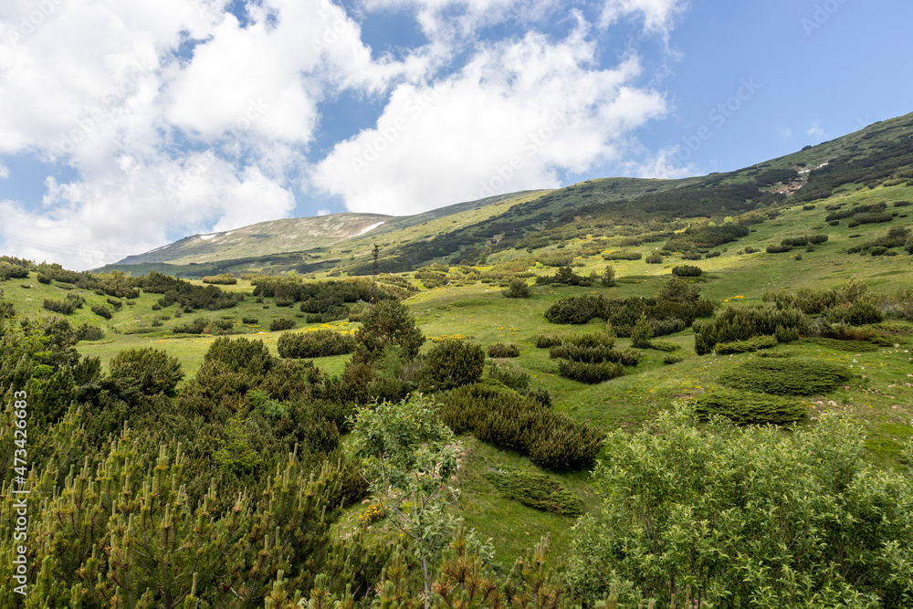 Fototapeta premium Landscape of Rila mountain near Belmeken Dam, Bulgaria