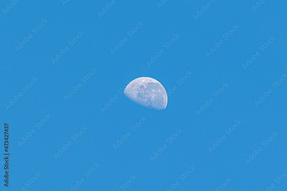 Fototapeta premium waning gibbous of moon in day isolated blue background