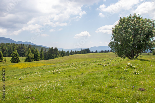 Landscape of Rila mountain near Belmeken Dam  Bulgaria