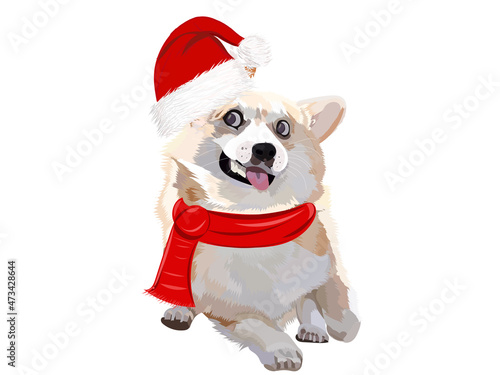 funny corgi dog tripping and clumsy wearing Santa hat vector drawing illustrator