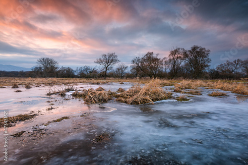 Sunset over the wetland of river Turiec in Slovakia. photo