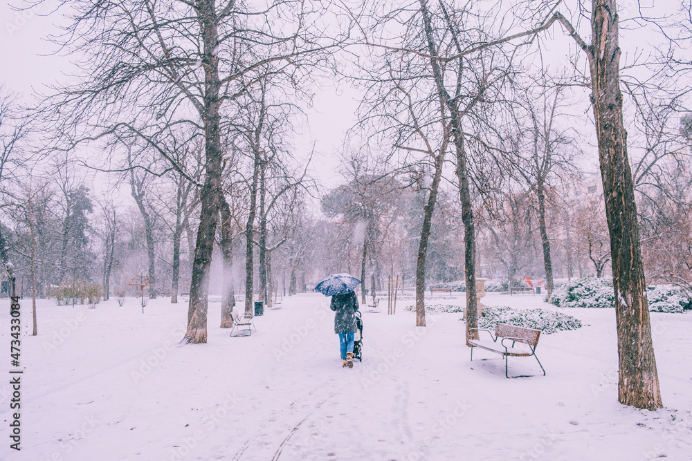 Young mum carrying and umbrella while pushing her baby stroller during snowstorm in Retiro, Madrid, Spain. Young mum carrying and umbrella while pushing her baby stroller during snowstorm in Retiro, Madrid, Spain.