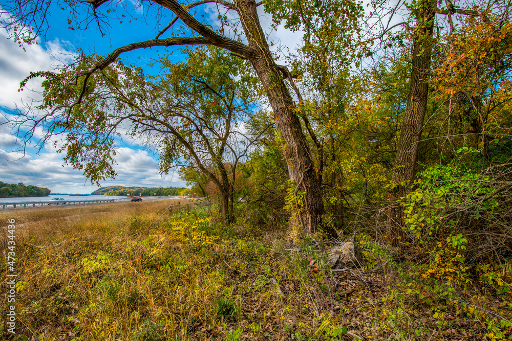 Autumn colored trees in a grassy meadow beside the Mississippi river in Alton Illinois Autumn colored trees in a grassy meadow beside the Mississippi river in Alton Illinois