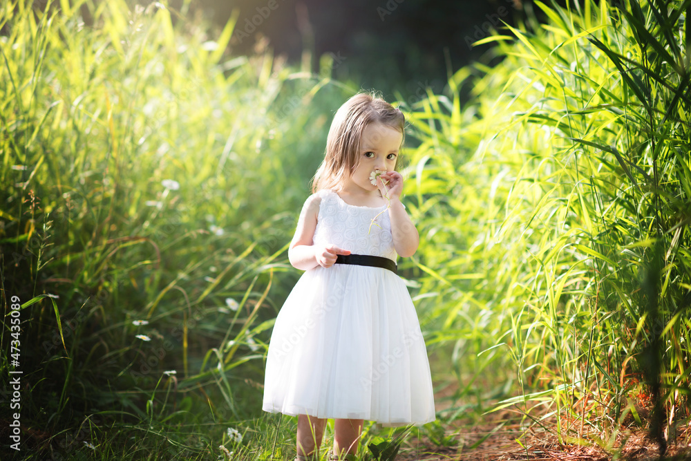 Cute little girl toddler in white dress smelling a daisy in the grass. Cute little girl toddler in white dress smelling a daisy in the grass.