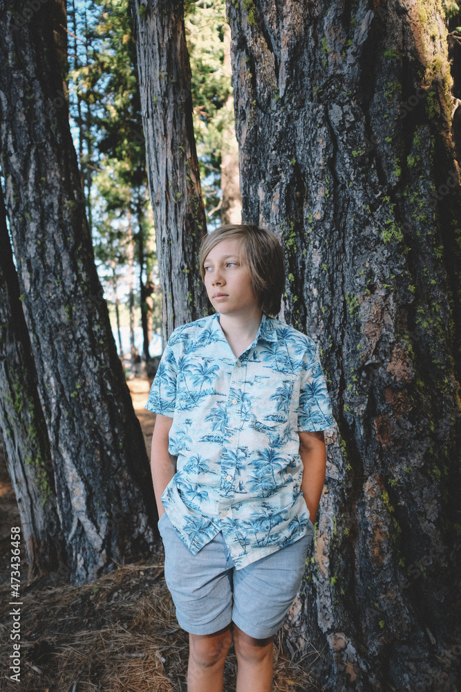 Boy in Hawaiian Shirt stands besides lichen covered Pine Trees Boy in Hawaiian Shirt stands besides lichen covered Pine Trees