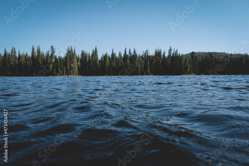 Lake Level View of Blue Water and Ripples with Green Treeline. photo