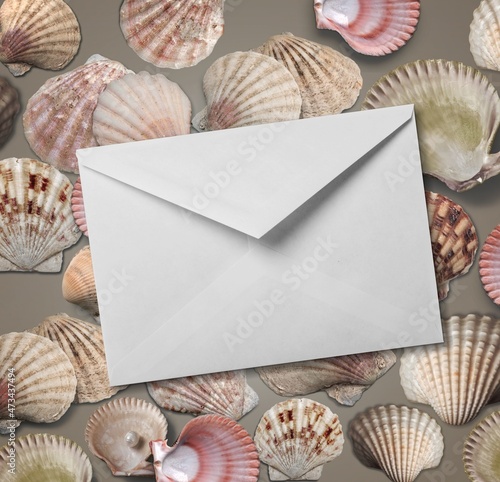 Neutral beige and white seashells background. Blank paper, invitation card sheet