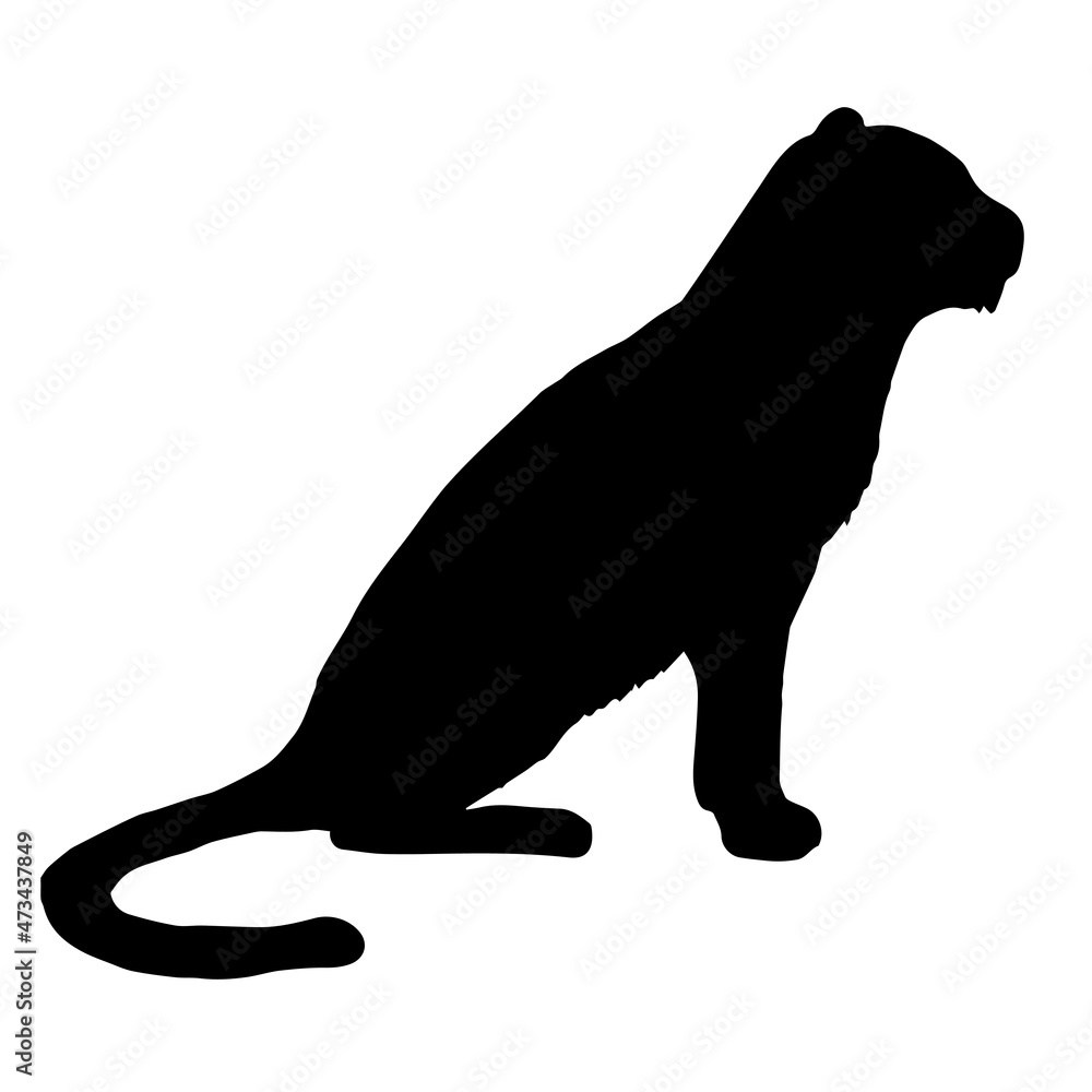 Vector hand drawn doodle sketch tiger silhouette isolated on white background