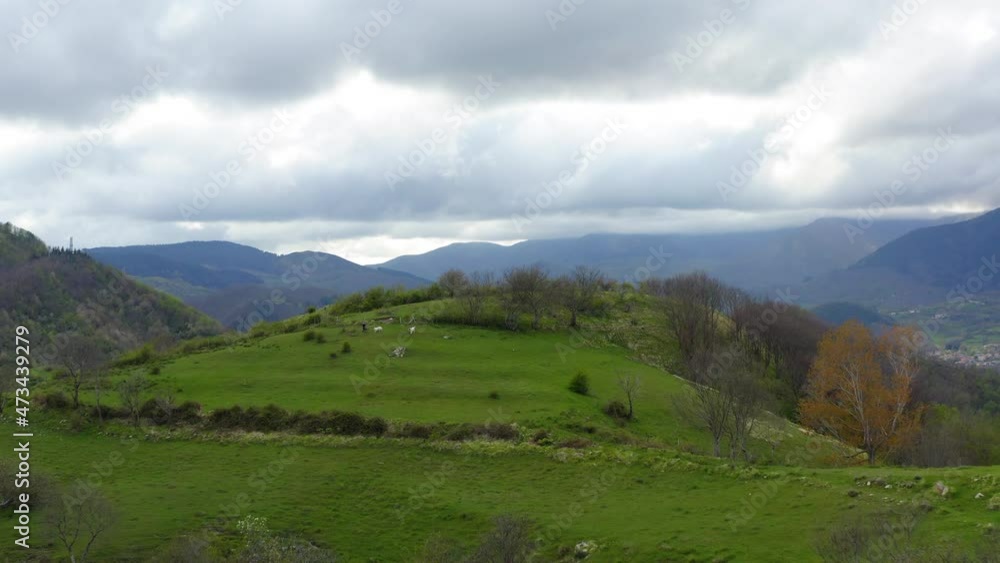 Aerial Forward Shot Of Woman Walking With Three Dogs On Mountain Top - Apennine Mountains, Italy Aerial Forward Shot Of Woman Walking With Three Dogs On Mountain Top - Apennine Mountains, Italy