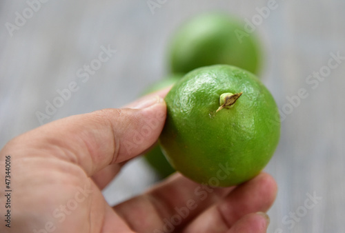 Citrus aurantiifolia, The Key lime.West Indian lime, bartender's lime, or Omani lime, is a citrus hybrid and usually picked while it is still green, but it becomes yellow when ripe, high acidity
