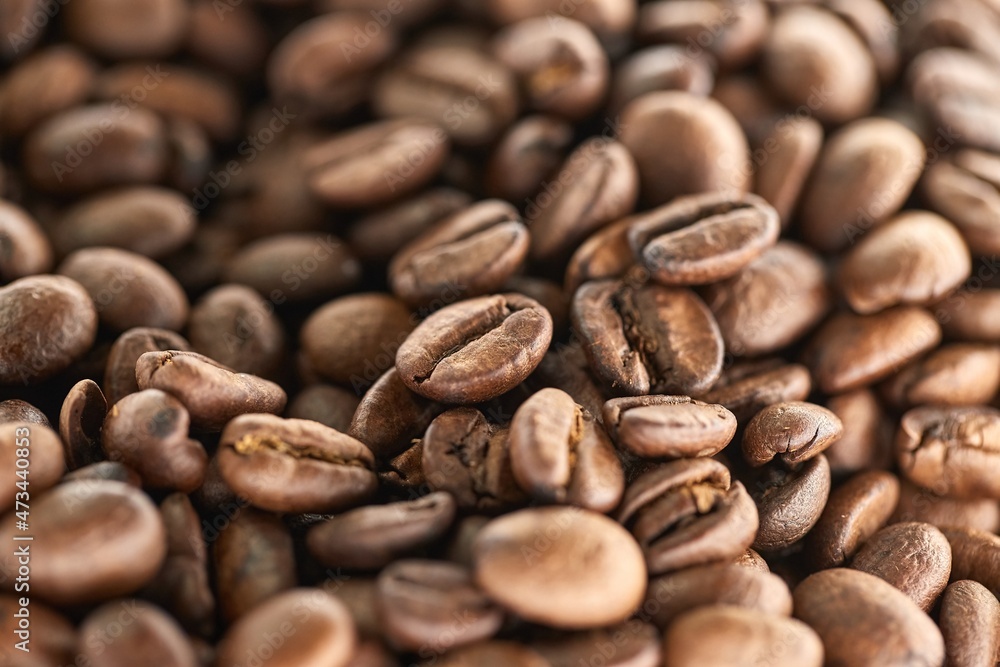 Roasted Coffee Beans Roasted Coffee Beans