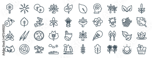 set of 40 flat nature web icons in line style such as shining sun with rays, bilberry leaf, camping bonfire, cercis leaf, yew leaf, acacia, ovate icons for report, presentation, diagram, web design