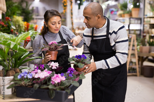 Man and woman working in a flower shop