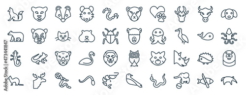 set of 40 flat animals web icons in line style such as panther, polar bear, salamander, weasel, big fish, puppy, puma icons for report, presentation, diagram, web design