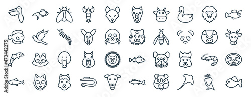 set of 40 flat animals web icons in line style such as gold fish, flounder, grampus, salmon, pig, angler, camel icons for report, presentation, diagram, web design