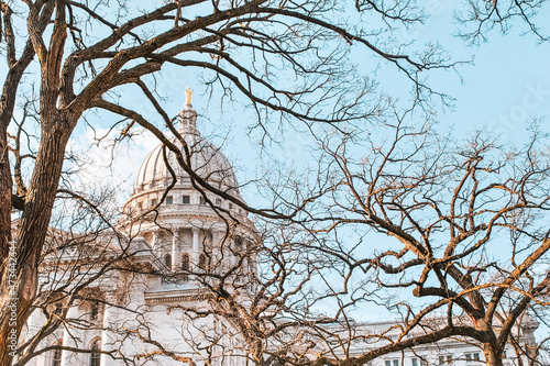 Madison, Wisconsin capitol building through the trees in the early spring