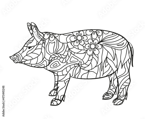 Fototapeta Naklejka Na Ścianę i Meble -  Pig on white. Hand drawn animal with intricate patterns on isolated background. Design for spiritual relaxation for adults. Black and white illustration for coloring. Zen art. Zentangle