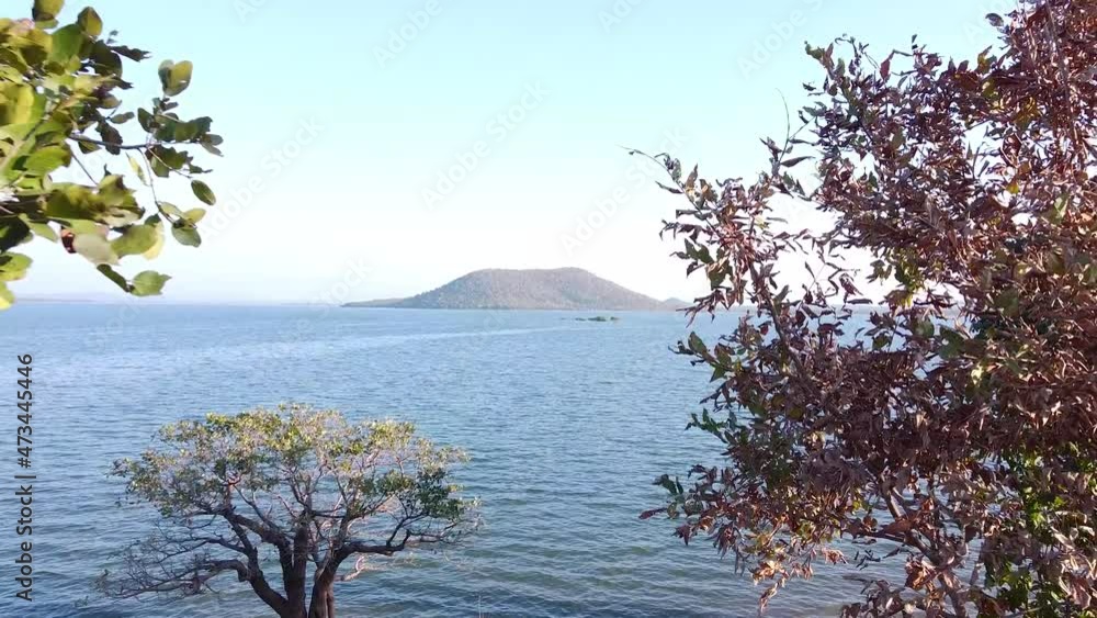 Lake and mountain view reveal drone shot through trees. Lake and mountain view reveal drone shot through trees.
