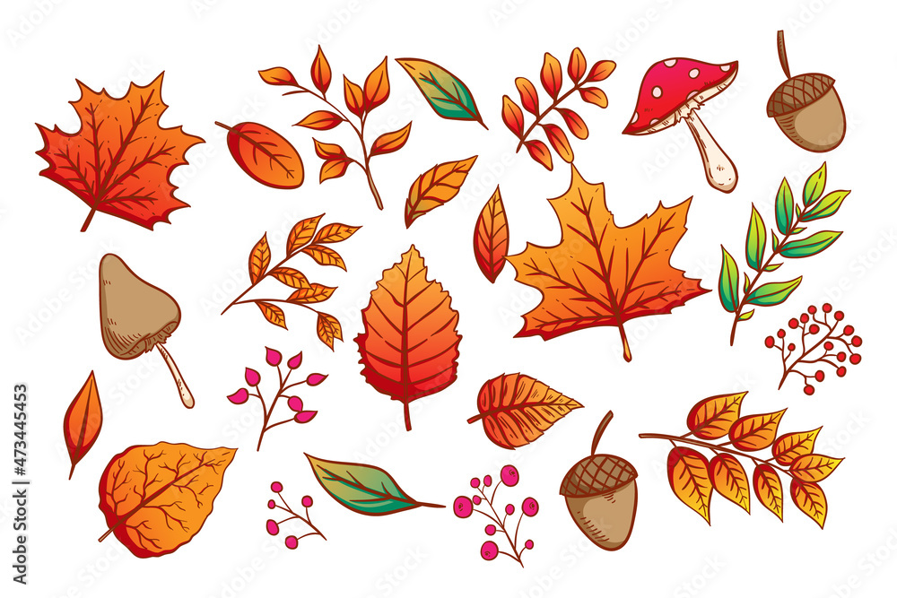 Obraz premium Set of colorful Autumn icons or elements