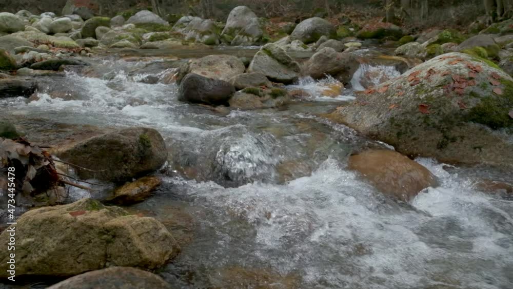 Autumn river in mountain forest at slow motion with yellow and red foliage trees Autumn river in mountain forest at slow motion with yellow and red foliage trees