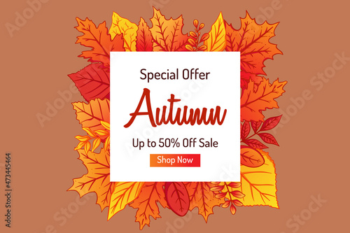 Autumn sale vector banner abstract background design with fall leaves, autumn typography and discount text