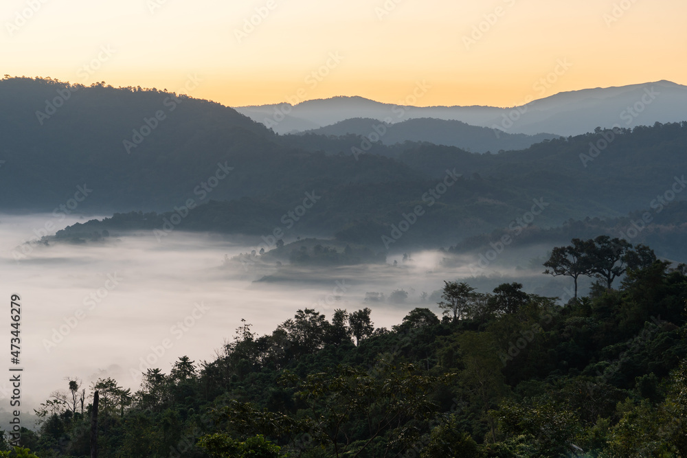 Phu langka forest park, Pha Chang Noi, Pong district,Phayao Thailand.Morning mist Covered the mountain while the sunrise was shining in winter.