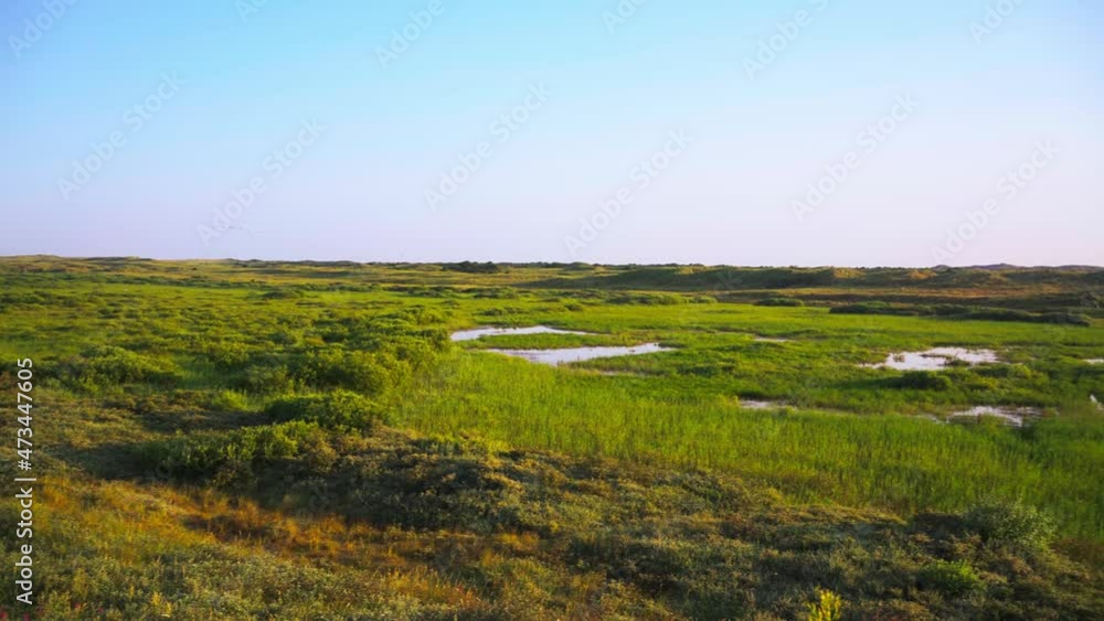 View Across Grassy Wetland At Texel. Pan Right View Across Grassy Wetland At Texel. Pan Right