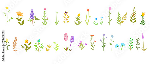 Set of flowers and plants with leaves, grass, for decor, botany. Isolated icons vector illustration. Collection of floral decorations. Botanical icons and stickers.